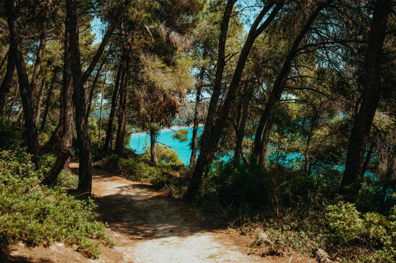 Apartmán Forest House Near The Sea Sani  Exteriér fotografie