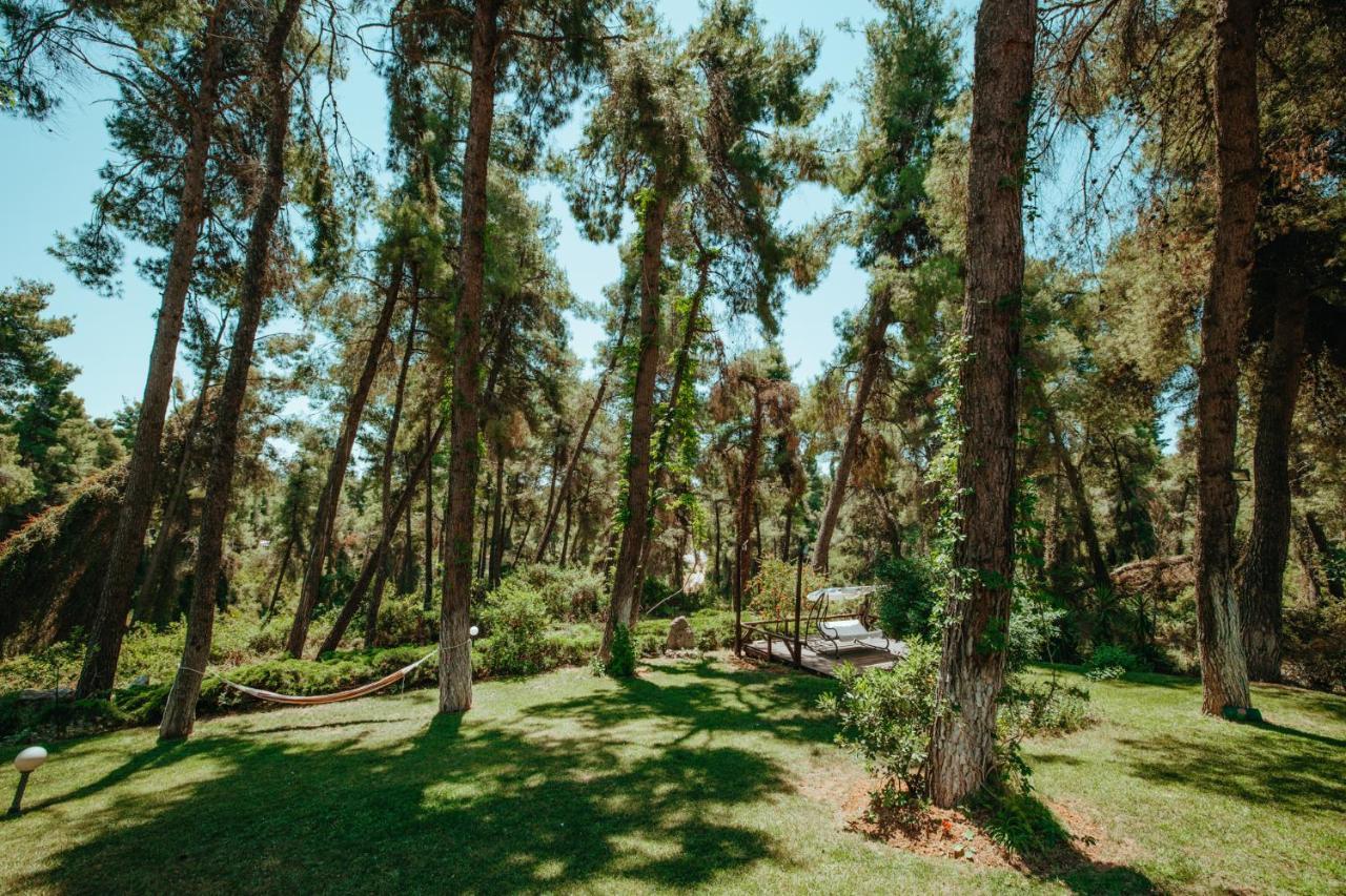 Apartmán Forest House Near The Sea Sani  Exteriér fotografie